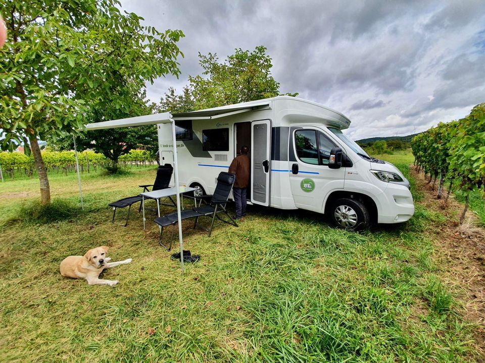 Sun Living Teilintegrierter - top Zustand - Markise - Hundebox in Berlin