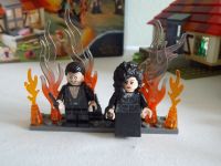 LEGO® Harry Potter 75980 Angriff auf den Fuchsbau OVP Thüringen - Jena Vorschau