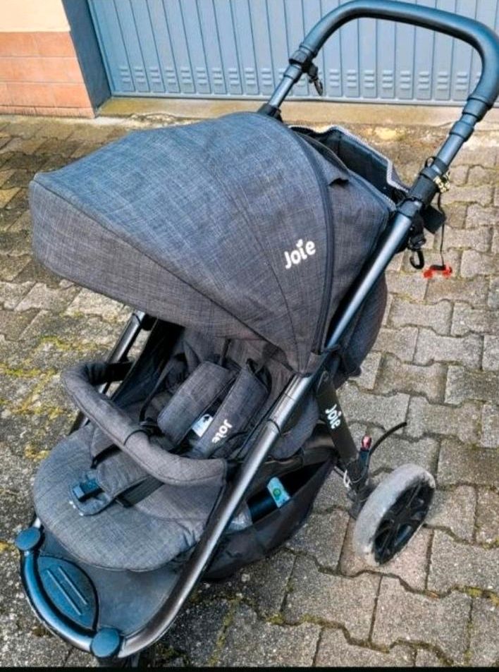 Joie Buggy in Ludwigshafen