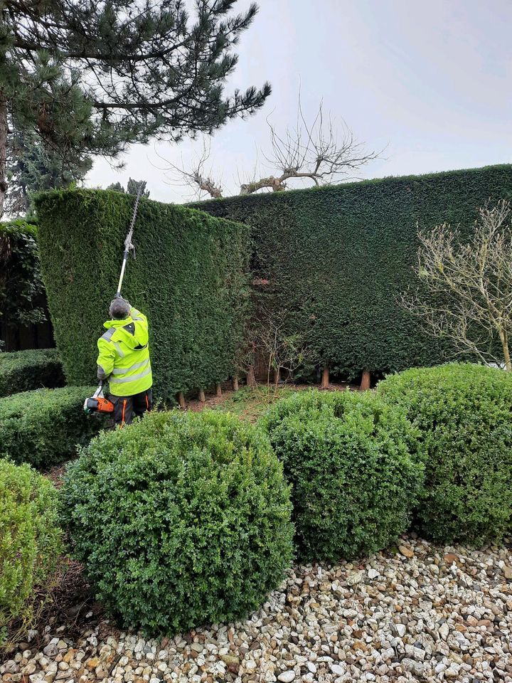 Rollrasen Gartenarbeit Gärtner Heckenschneiden umgraben fräsen in Essen