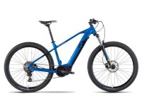 RAYMON EBIKE 29 ZOLL HardRay E 6.0 NEU! UVP 3599 € EF1 Thüringen - Erfurt Vorschau