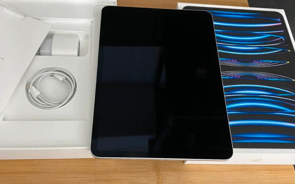 Apple iPad Pro 11 Zoll (4 Generation) in Singen