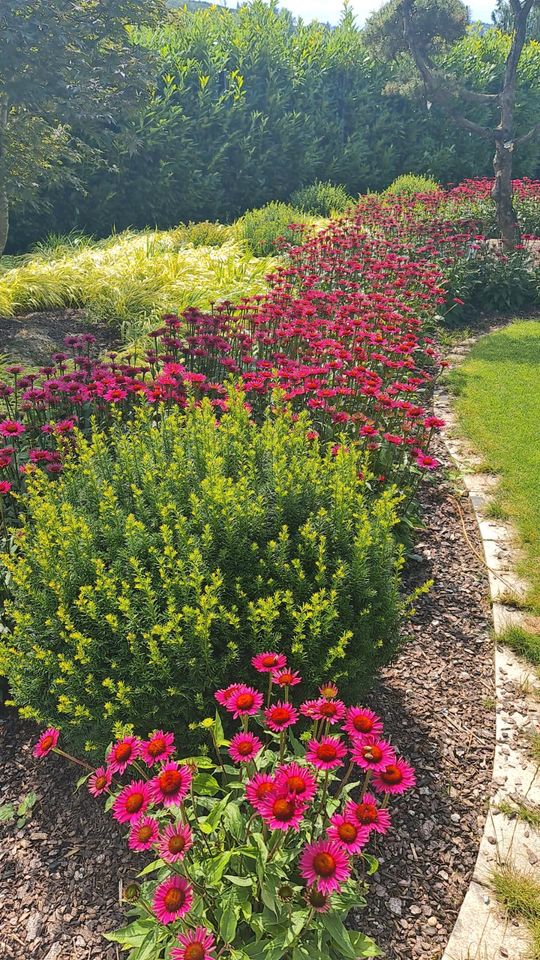 Gartenpflege, Objektbetreuung, Hausmeisterdienst, Gewerbeobjekt in Lahr (Schwarzwald)