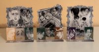 Attack on Titan AOT Levi Hanji Erwin Kenny Acryl Stand Limitiert Baden-Württemberg - St. Leon-Rot Vorschau