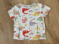 T-Shirt H&M Gr. 110/116 Dinosaurier Hamburg-Nord - Hamburg Langenhorn Vorschau