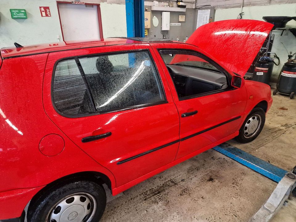 VW polo 6N Fahrertür Beifahrertür Tür hinten Stoßstange Kotflügel in  Nordrhein-Westfalen - Gevelsberg, Ersatz- & Reparaturteile