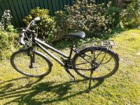 Staiger Damenfahrrad 28 Zoll Trekking Touren Dithmarschen - Meldorf Vorschau