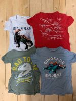 4 T-Shirts Dinomotif Größe 110 Paketpreis Eimsbüttel - Hamburg Schnelsen Vorschau