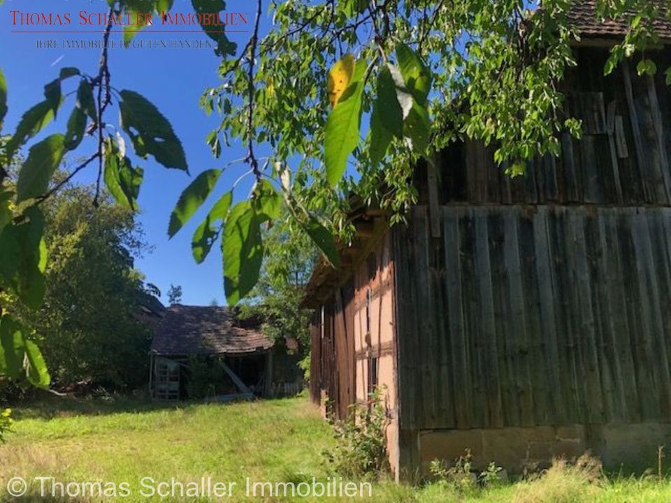 Schönes Bauernhaus mit 3.900 m² Grundstück in attraktiver Lage in Pyrbaum