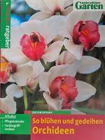 So blühen und gedeihen Orchideen Ratgeber Bayern - Hausen Oberfr. Vorschau