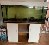 Aquarium mit Schrank Nordrhein-Westfalen - Langerwehe Vorschau