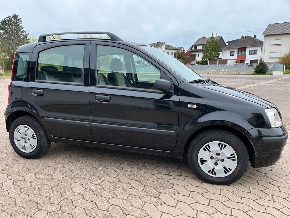 Fiat Panda  1.2  Klimaanlage Zentral elek Fensterheber in Neunkirchen