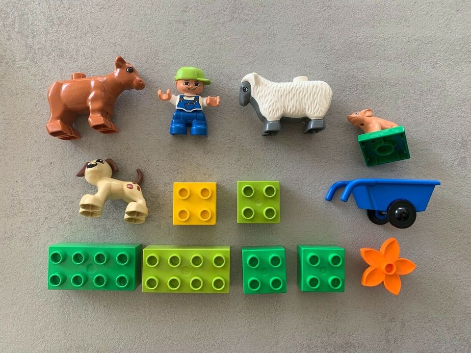 Lego Duplo 4972 Bauernhoftiere in Maxdorf