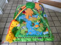 Baby Spielebogen von Fisher Pricemit Jungle Motiven Östliche Vorstadt - Steintor  Vorschau