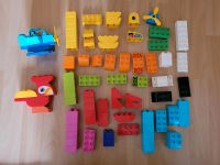 LEGO DUPLO Meine ersten Bausteine Set 10848 + Flugzeug + Papagei Hessen - Niddatal Vorschau
