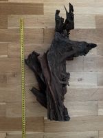 Aquarium Wurzel XL groß 50cm Pankow - Weissensee Vorschau