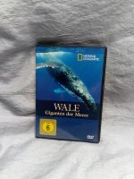 Wale Giganten der Meere, DVD Baden-Württemberg - Eutingen Vorschau