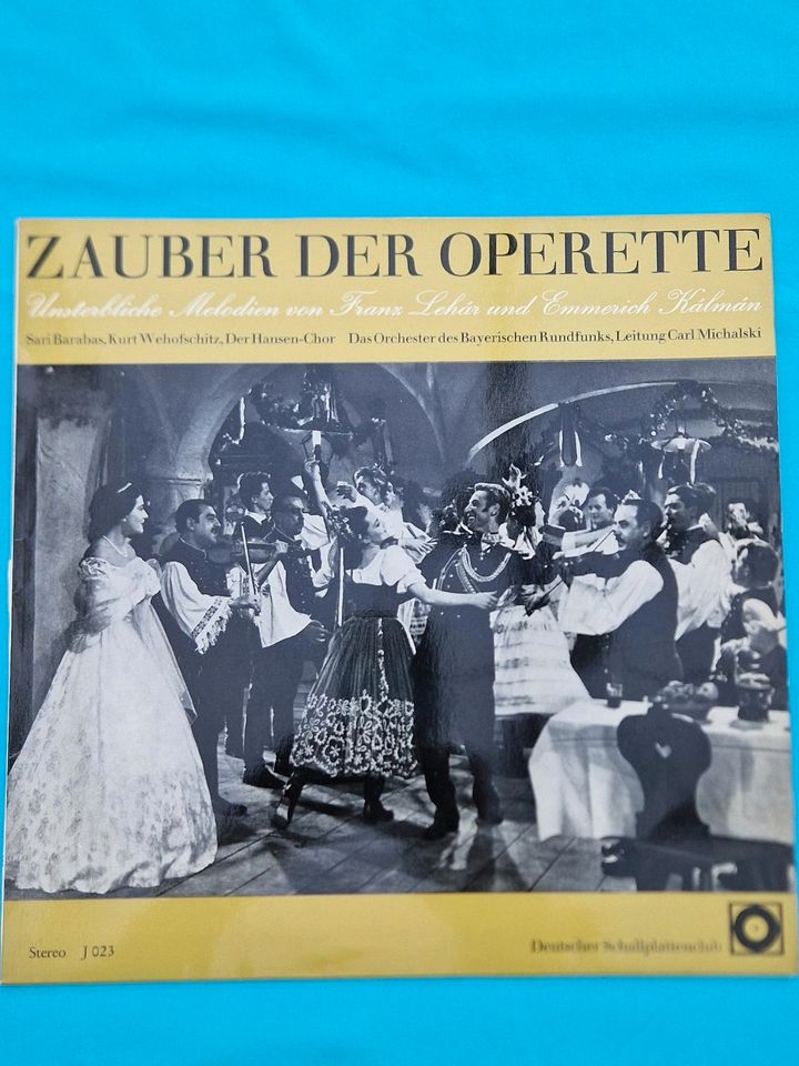 Schallplatten ca. 30 Stück in München