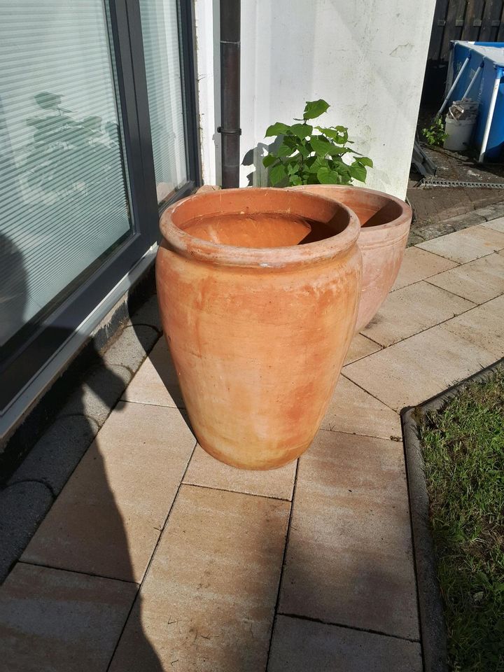 Toskanischer Terrakotta Topf Planzkübel Blumentopf Groß in Henstedt-Ulzburg