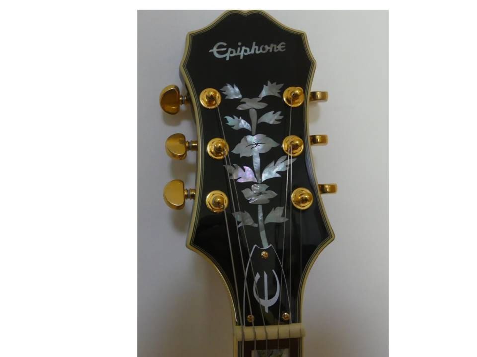 Epiphone Sheraton II Pro ebony Halbakustik-Gitarre in Böblingen