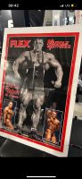 Dorian Yates Poster Flex Sport Revue Bodybuilding Baden-Württemberg - Heidelberg Vorschau