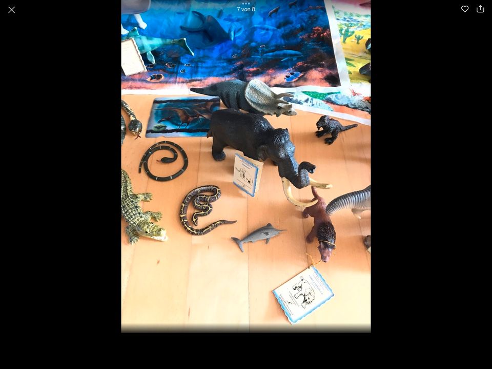 Dinosaurier Schleich Reptilien  Bullyland Spielzeug Set Konvolut in Asperg