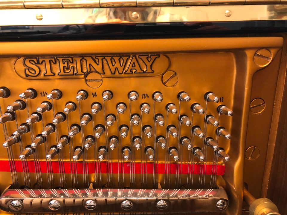 STEINWAY & SONS Konzertklavier K-132 in Bispingen