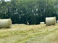 Heu Rundballen Hessen - Rabenau Vorschau