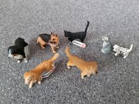 Schleich 5 Hunde + 2 Katzen Hund Katze NEU wertig Nordrhein-Westfalen - Iserlohn Vorschau