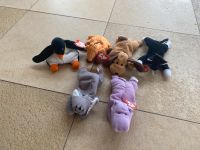 Teenie Beanie Babies Saarland - Sulzbach (Saar) Vorschau