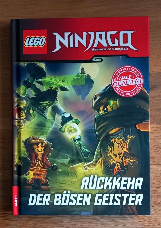 Verschiedene Ninjago Bücher in Alsfeld