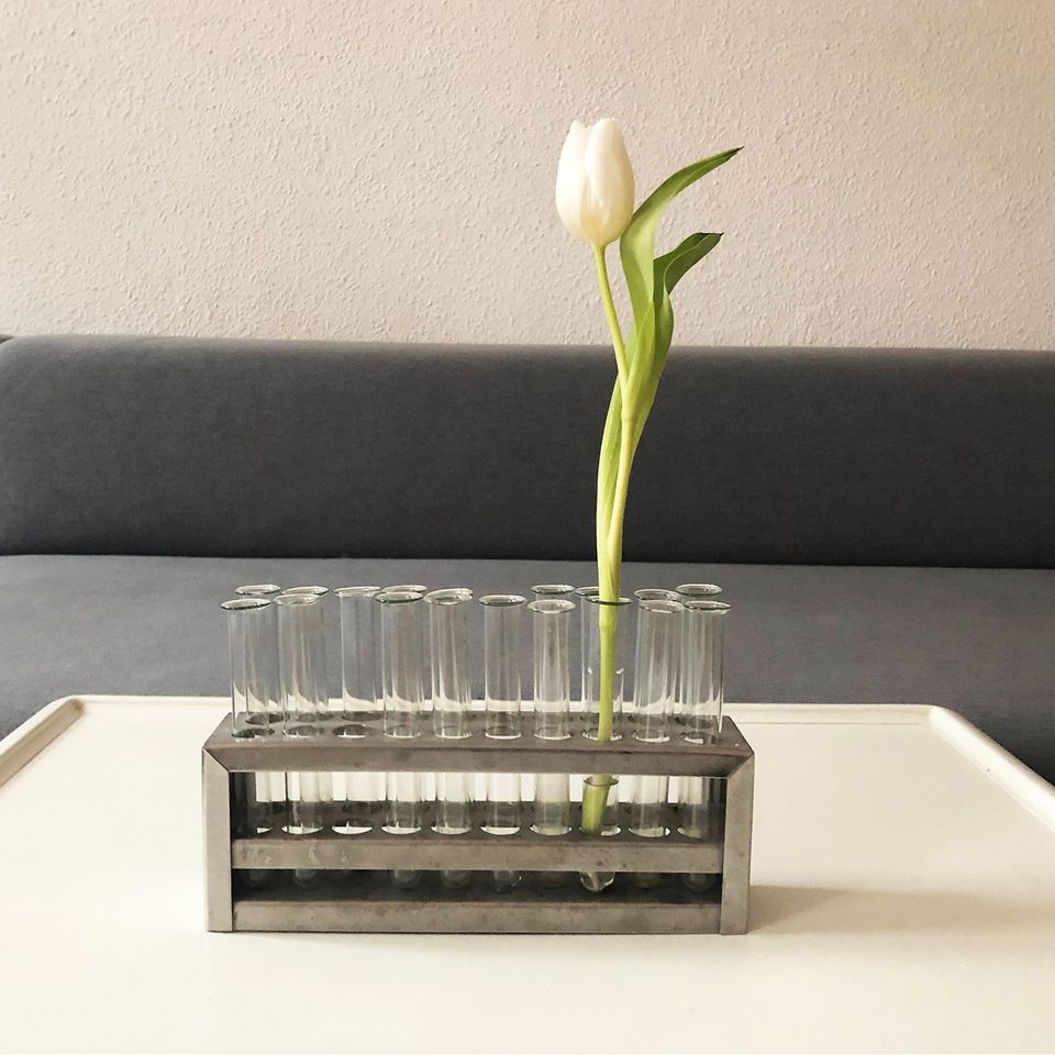 Originelle Vase Glasvase 18 Reagenzgläser mit Halter Tulpenvase in Berlin