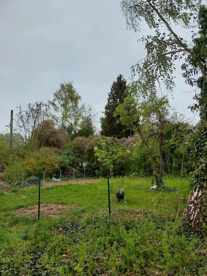 Garten Erholung Grundstück in Falkensee