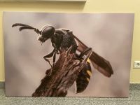 Bild 122x82 Biene Wespe Insekt Canvas Fotografie Unikat Nordrhein-Westfalen - Rietberg Vorschau