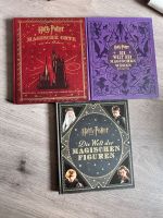 Harry Potter Bücher (magische Figuren, Wesen, Orte) Innenstadt - Köln Altstadt Vorschau
