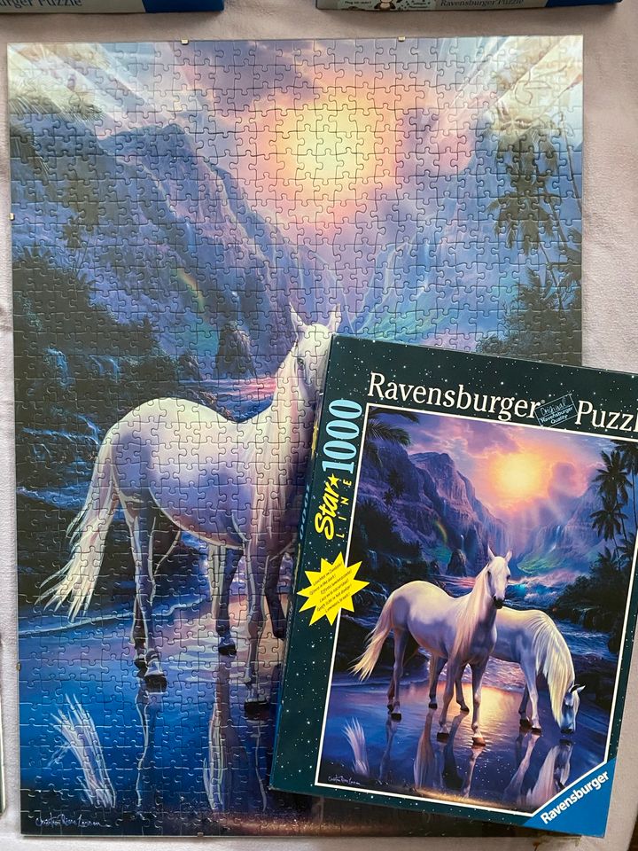 Ravensburger Puzzle 1.000 Teile inkl. Rahmen und OVP in Kiel