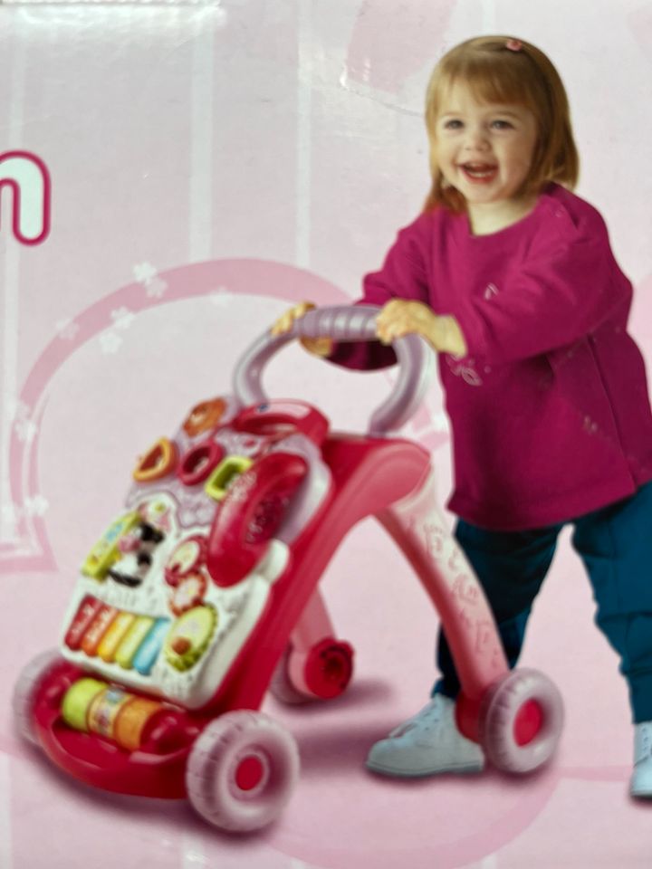 Spiel und Laufwagen vtech Baby in Biberach an der Riß