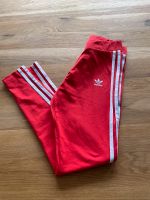 Adidas Damen Leggings Gr.34 ❤️ Nordrhein-Westfalen - Mönchengladbach Vorschau