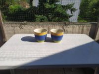 2x Glasur Keramik Blumentopf mit Muster//h=15cm;d=17cm Niedersachsen - Laatzen Vorschau
