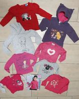 Paket mit 10 Pullover Langarmshirts Rollis Rollkragen Gr. 86/92 Schleswig-Holstein - Alveslohe Vorschau