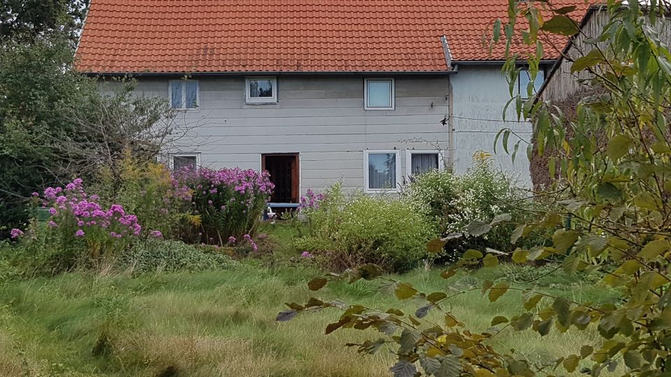 Zweifamilienhaus mit großem Grundstück in Banteln in Gronau (Leine)