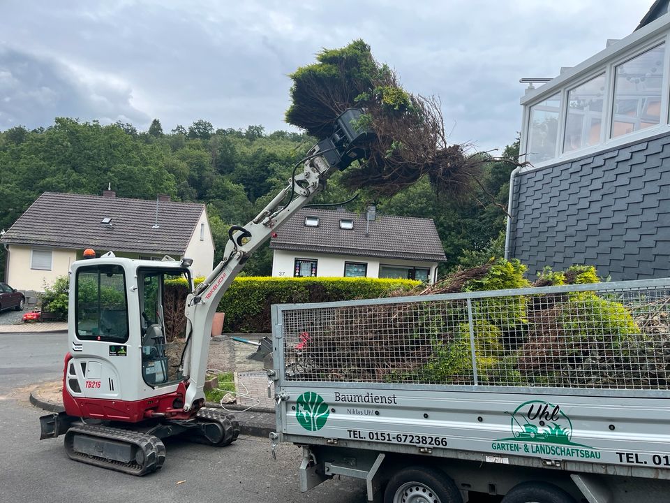 Biete Baggerarbeiten an! in Siegen