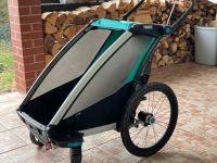 Thule Chariot Lite 1 Fahrradanhänger Kinder Dresden - Neustadt Vorschau