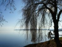 Grundstück gesucht in Papenburg und Umgebung mit Wasserzugang Niedersachsen - Papenburg Vorschau