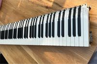 E Piano Tastatur Fatar 52 weiße, 36 schwarze Tasten Hamburg-Nord - Hamburg Alsterdorf  Vorschau