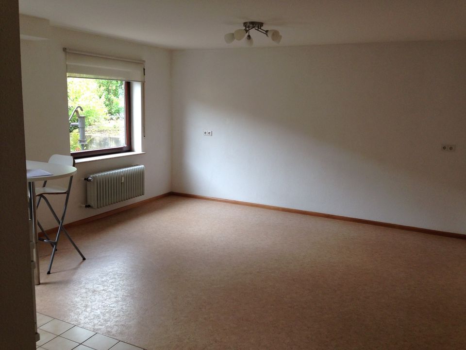 1-Zimmer-Appartement mit Duschbad und Einbauküche in Oberkirch