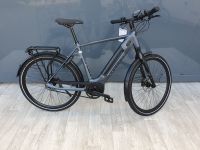 Gazelle Ultimate C8+ Belt (Trekking, E-Bike, Bosch, Riemen) Hessen - Darmstadt Vorschau