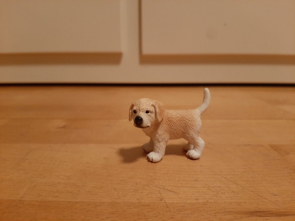 Schleich Welpen Labrador & Bernhardiner in Sankt Augustin