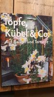 Töpfe Kübel und Co Buch von Malcolm Hillier Niedersachsen - Salzhausen Vorschau