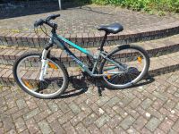 Mountainbike 27.5 Zoll Bayern - Zellingen Vorschau